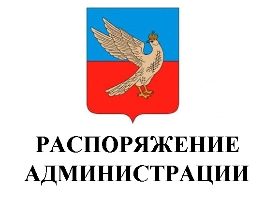 Распоряжение администрации города Суздаля от  04.06.2021 № 230-р